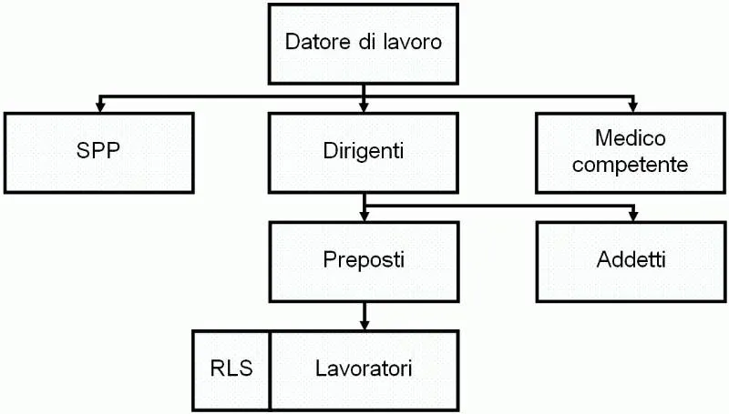 organigramma sicurezza RTS